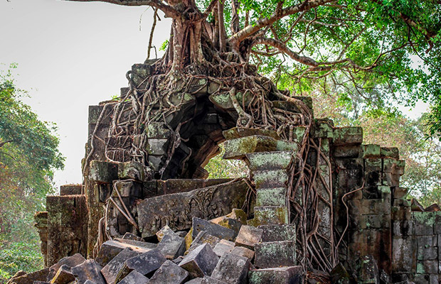 Siem Reap Angkor 1 Day Tour