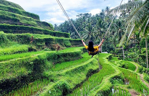 Bali Package Tour 4D3N