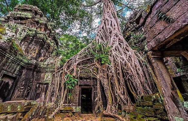 Siem Reap - Phnom Penh Package Tours 5D4N